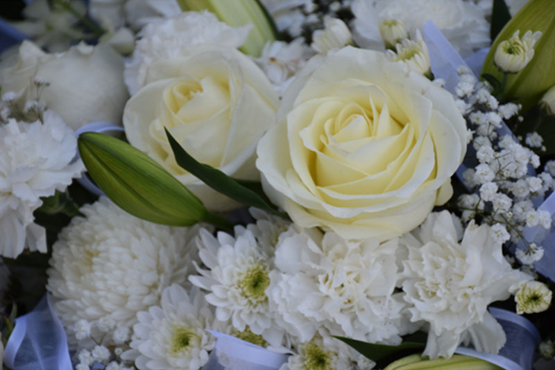 Dobson Family Funeralcare
