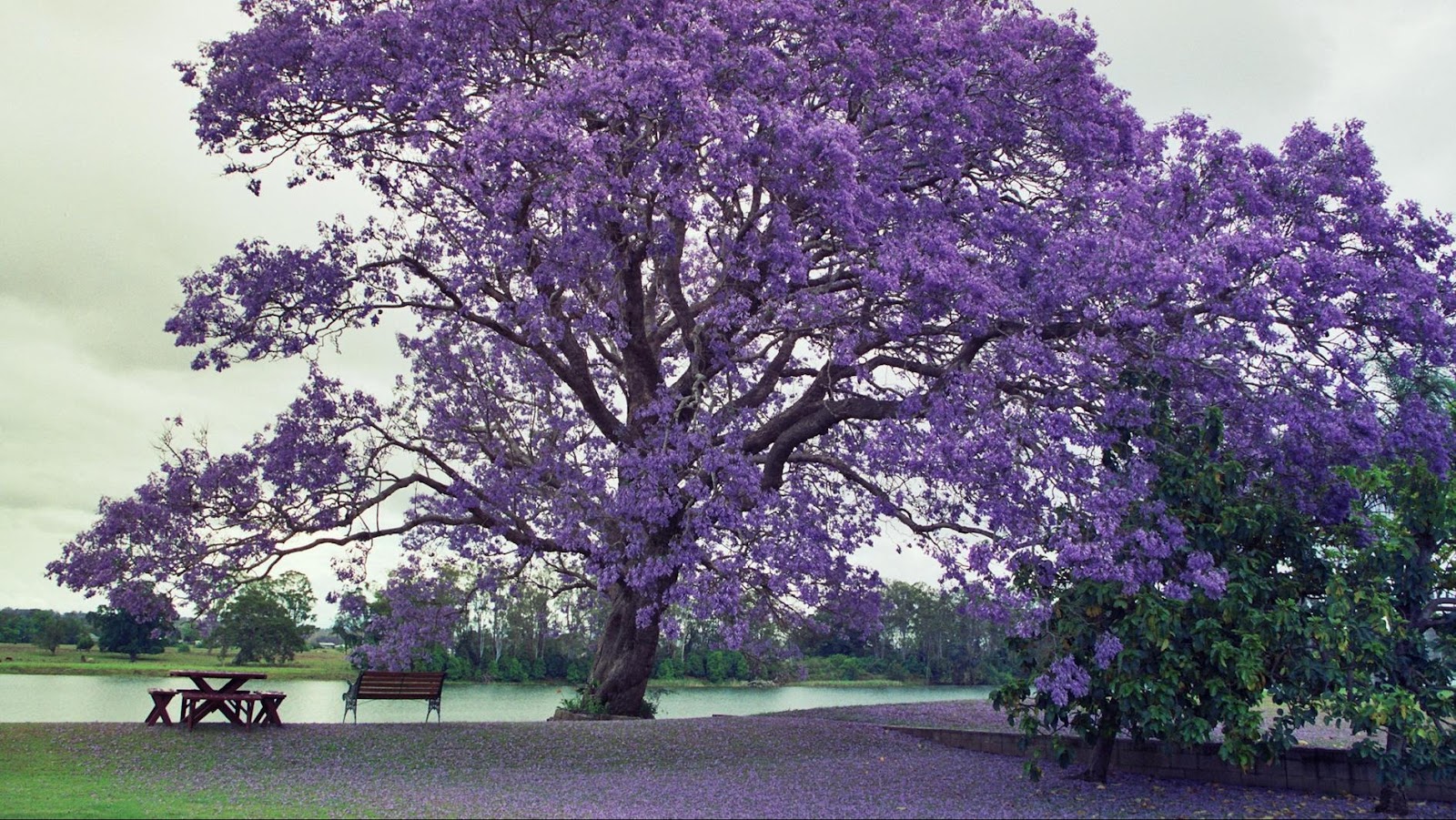 Clarence Valley Funerals