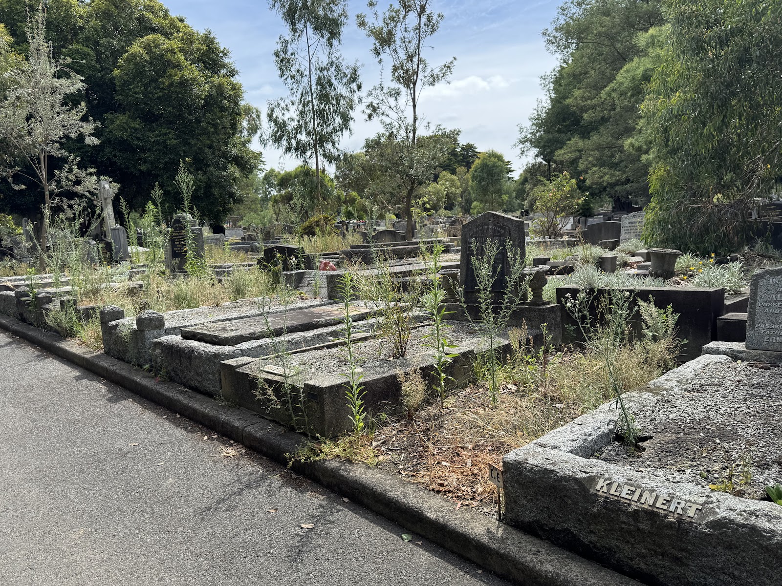 Box Hill Cemetery